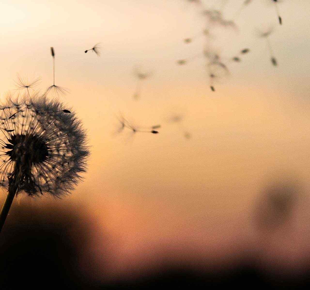 https://estudioteixido.com.ar/wp-content/uploads/2018/09/post_02-1280x1200.jpg